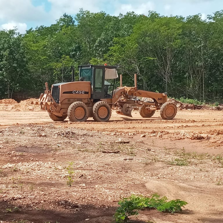 A red-orange CASE motor grader operating on a dirt road with forest in the background